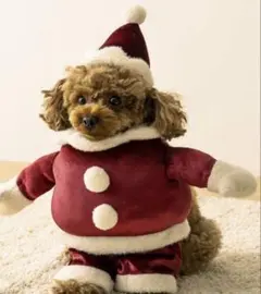 Item thumbnail for item 76aeb077-50de-4ce0-90f2-bdaf4b8abac7