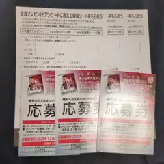 バレーボール 男子 日本代表 2025 トレーディングカード 応募券 アンケート