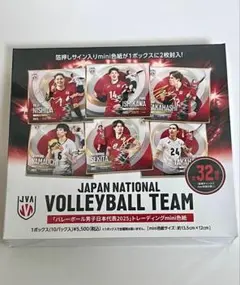 新品未開封　バレーボール 男子日本代表 2025 トレーディングmini色紙