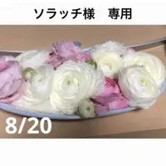 ソラッチ様　専用