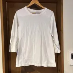 チャンピオン M T1011