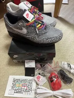 NIKE AIR MAX 1 TOKYO MAZE マルチカラー 28.5cm