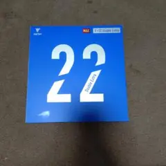 V22ダブルエキストラ　赤　MAX 美品