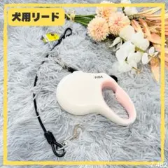 Item thumbnail for item 67eddb5d-cd30-49ab-b2c4-031a70e4922f