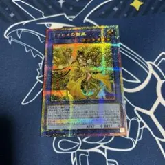 遊戯王　オオヒメの御巫　プリズマシークレット