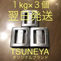 翌日発送 新品 1kg×3個セット ダイビング用 スキューバおもりTSUNEYA