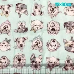 国産　ダブルガーゼ生地　ハギレ　犬の顔柄 ペパーミントグリーン　約75×30cm