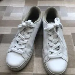 PUMA スニーカー　23.5cm