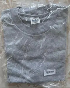 プロクラブ PRO CLUB Tシャツ