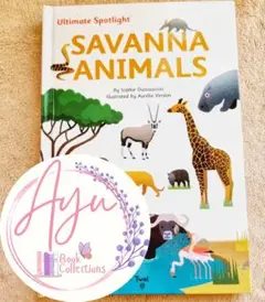 Twirl Savana Animals book 英語絵本しかけ絵本 洋書