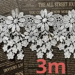 ＊0055 レース 3m