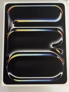 iPad Pro (M4) 256GB Wi-Fi 13インチ　シルバー