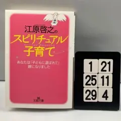 江原啓之のスピリチュアル子育て 1-21*25.29*4