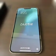 Apple iPhone 13 Pro Max 256GB SIMフリー特典付き