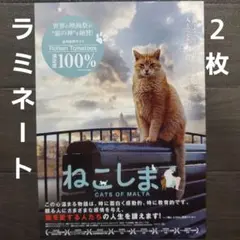 Item thumbnail for item a45a8d36-7584-4b30-85f2-8ffe1c56937a