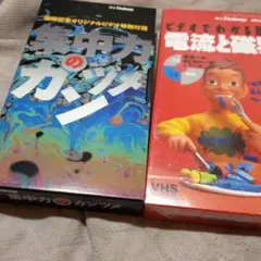 m56413197447_1.jpg?1619262989