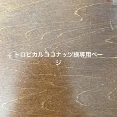 ねいちさま専用3点】お金がコインピアス 無限大の愛 積極的になる