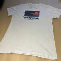 Patagonia オーガニックコットン Tシャツ L usedお安くどーぞ