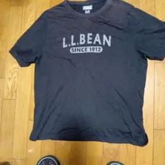 L.L.Bean 正規品 Tシャツ 定価4000円。サイズXXL エルエルビーン