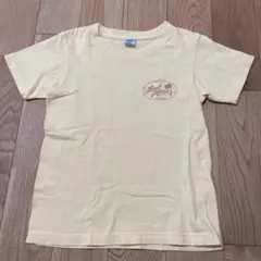 Local Motion イエロー Tシャツ 120