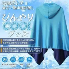 Item thumbnail for item 00c40373-124a-420f-89aa-b9caa85dac6a