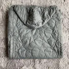 Item thumbnail for item 5d0d6035-7899-4b4a-816c-0fbaaf1b3e23