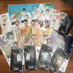 ハイキュー!! 21点セット