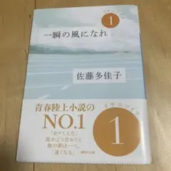 一瞬の風になれ 佐藤多佳子