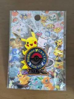 【未開封品】ポケモンセンター東京DX限定 ピンズ