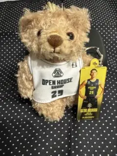 Item thumbnail for item 422b494d-c23c-479d-8afc-17fdd4e6777f