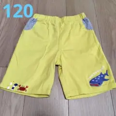 美品・バースデイ　ジンベイザメ　チンアナゴ　カニ　ショートパンツ（黄）120