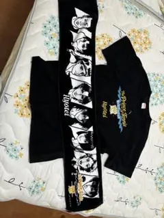 テニスの王子様　ベストフェスタ(ベスフェス) 氷帝のTシャツMサイズ タオル