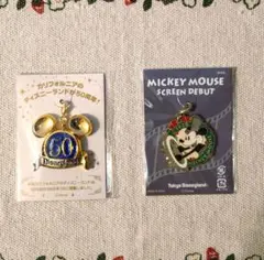 ディズニーランド　2005年　来園記念　配布チャーム　2個セット