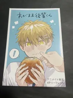 わがままな後輩くん☆特典リーフレット☆アニメイト