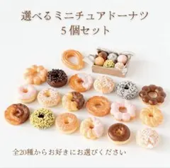 選べる ミニチュア ドーナツ 5個セット 〈全２０種から５個〉