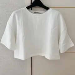 ZARA ザラ クロップド Tシャツ ショート丈 トップス ホワイト 起毛