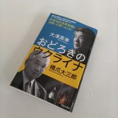 （送料込み）おどろきのウクライナ