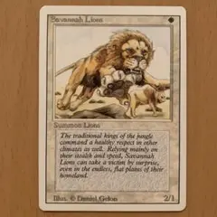 MTG Savannah　サバンナ 　②　英語版　リバイズド s-l1200.jpg
