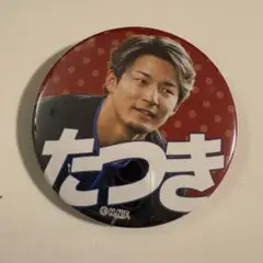 水野達稀　ブラインド缶バッジ第3弾