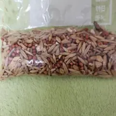 Item thumbnail for item b2711393-0342-4135-a6be-19ac16e0ac5b