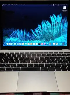Apple MacBook 12インチ 8GB 250GB WIN11 PRO