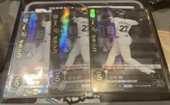 ドリームオーダー 千葉ロッテ球団ブースター【黒き旋風】G・ポランコ 3枚セット