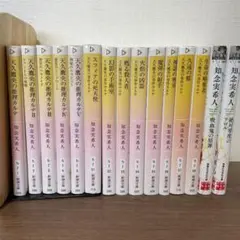 天久鷹央シリーズ まとめ売り