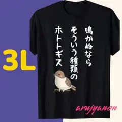 O⑩大きいサイズ Tシャツ 3L ブラック 黒 可愛い 半袖 おもしろい　K