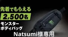 【非売品】 Monster energy ボディバッグ