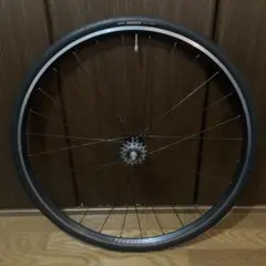 PHILWOODホイールリア　コグ付き PHILWOOD* low flange track hub rear (black/double cog