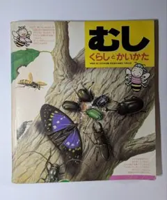 むし くらしとかいかた