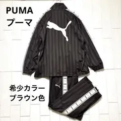PUMA ジャージセットアップ ブラウン茶色 XL 古着　日本製 上下セット PUMA ジャージセットアップ ブラウン茶色 XL 古着日本製 上下セット