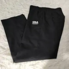 Item thumbnail for item 973a6229-1595-4216-a823-ea4bec08ce2d