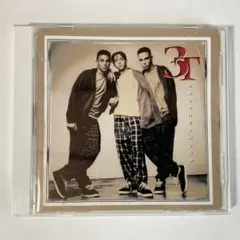 【希少 国内盤】3T　Brotherhood